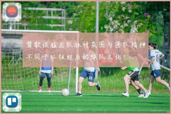 莺歌谈猛龙队独特氛围与团队精神不同于以往经历的球队文化