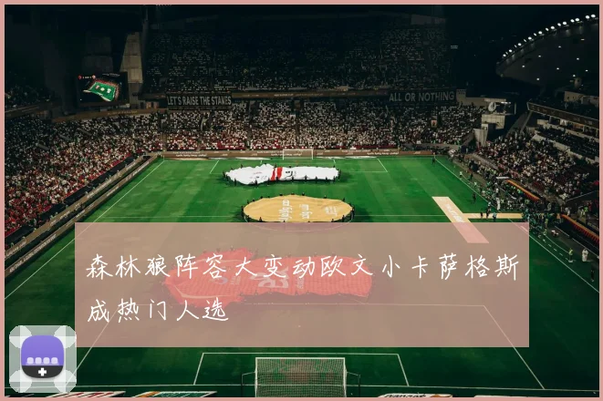 森林狼阵容大变动欧文小卡萨格斯成热门人选