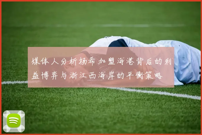 媒体人分析杨希加盟海港背后的利益博弈与浙江西海岸的平衡策略